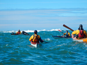 Appreciate Kayaking in Fishguard: 
