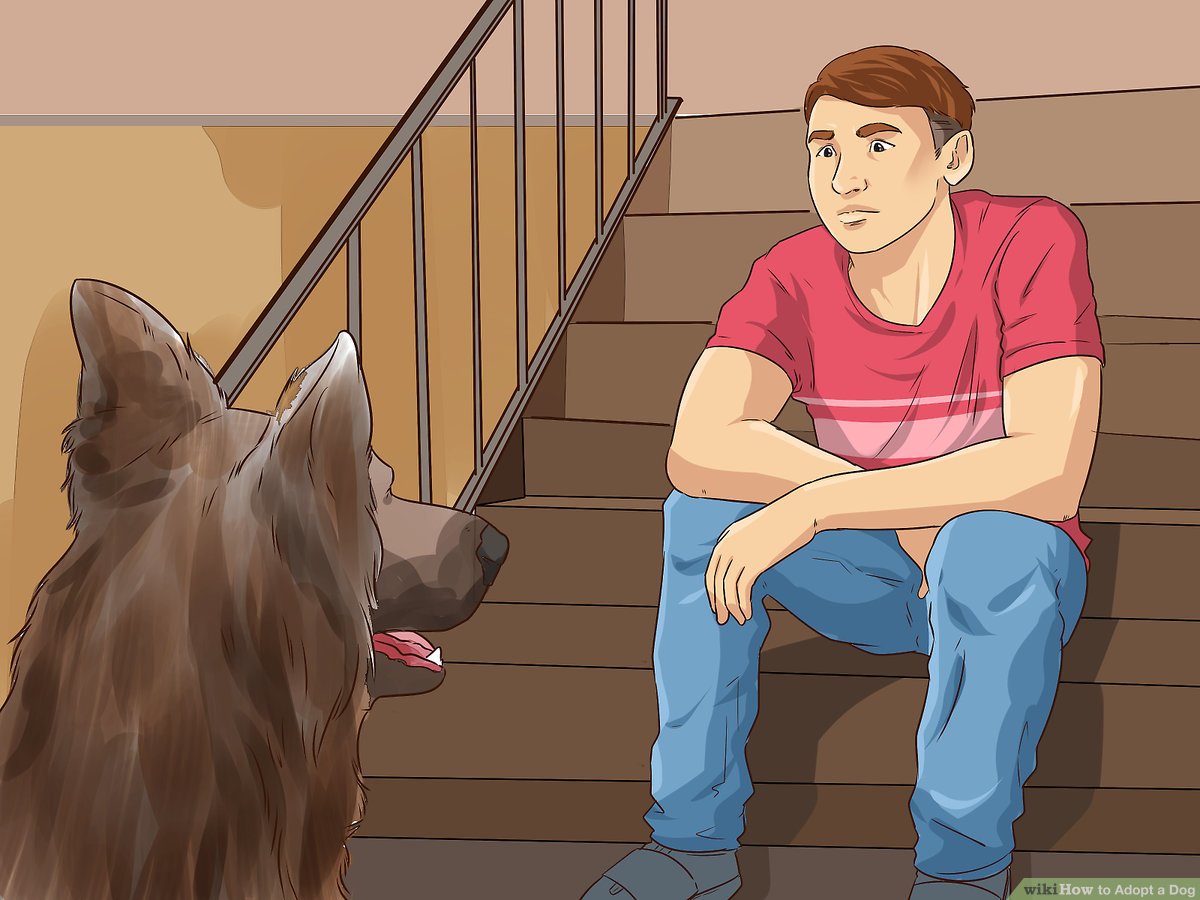 5 Steps to Take When Adopting a Pet