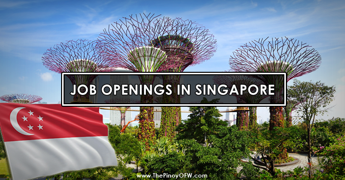 6. Beauty Jobs in Singapore - wide 9